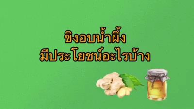 รวม16-รายการให้เลือก-ชาอู่หลง-จากดอยแม่สลอง-ชาอูหลง-oolong-tea-เจียวกู่หลาน-ชาเขียวมัทฉะ-ดอกเก็กฮวย-matcha-green-tea