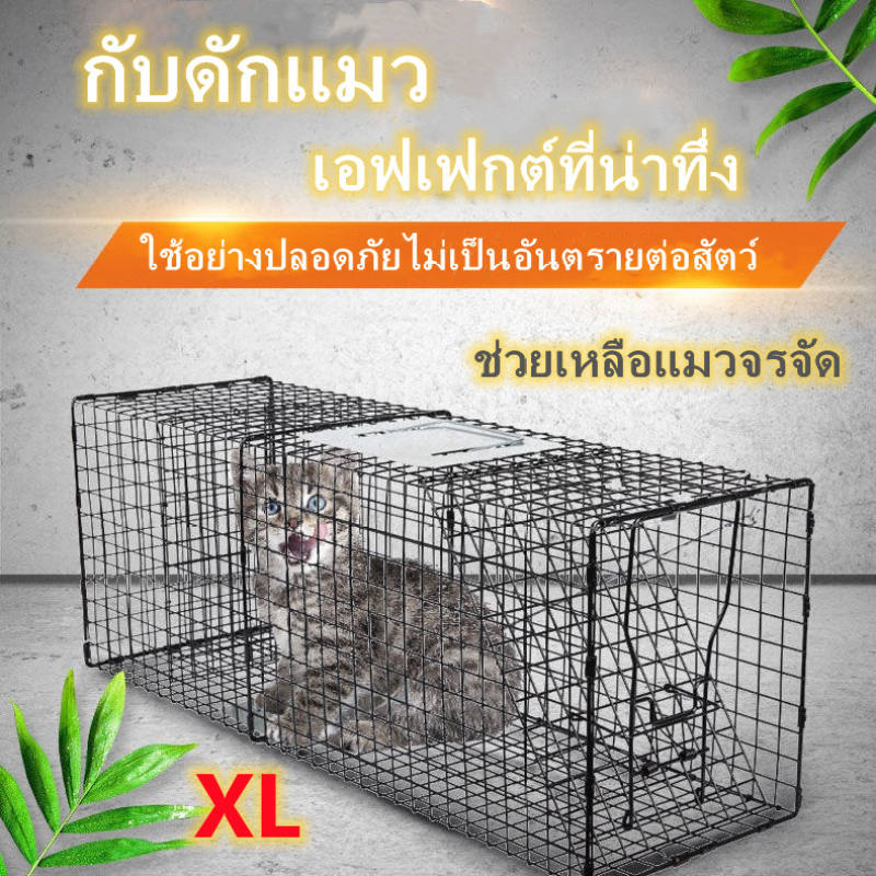 cattrap4you-xl-trap-cat-made-of-galvanized-กรงดักแมว-amp-กรงดักหมา-mycattrap-ปลอดภัยอย่าให้โดนสัตว์ขังกรงถังขยะกับดัก