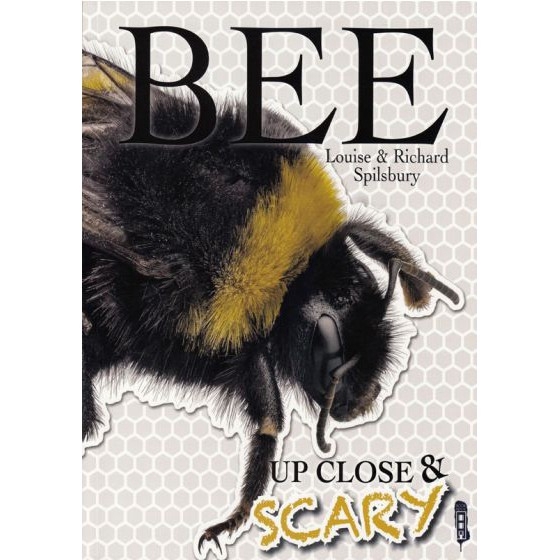 dktoday-หนังสือ-up-close-amp-scary-bee