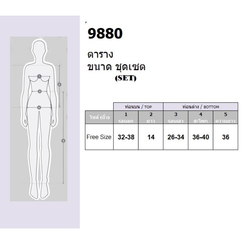 ชุดแนวสปอร์ต-ชุดเซท-เสื้อครอป-แขนยาว-พิมพ์ลายกราฟฟิก-กางเกงวอร์ม-ขายาว-ชุดเที่ยว-ชุดสตรีท-เสื้อผ้าแฟชั่น-9880-10417