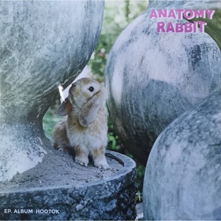 Anatomy Rabbit - Hootok (Pink&amp;White Mixed Vinyl)