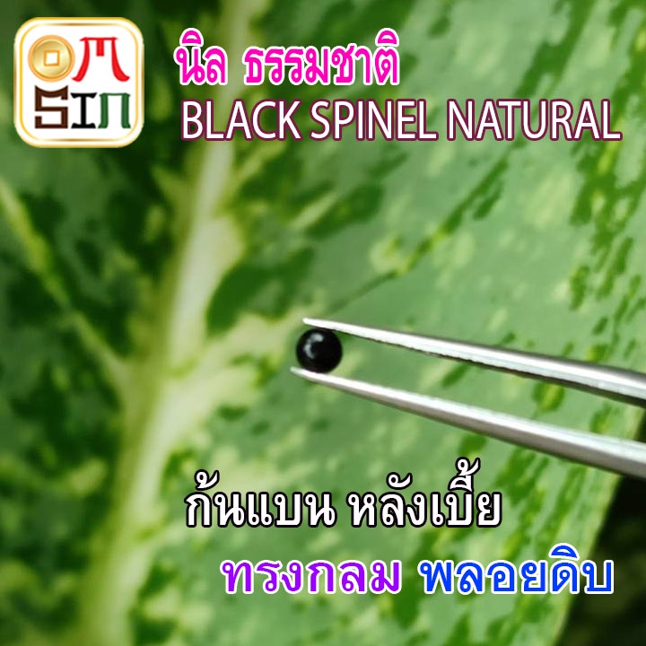 a210-นิล-3-4-5-8-กลม-หลังเบี้ย-พลอย-นิล-ก้นแบน-black-spinel-สีดำ-ธรรมชาติ-พลอยแท้100