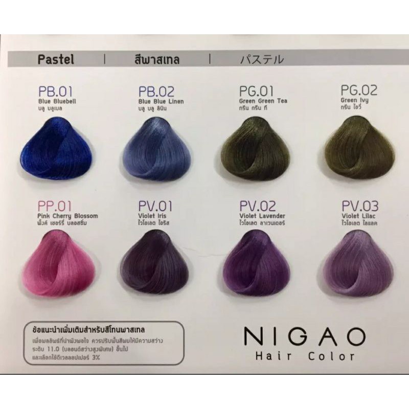 ชาร์ตสีผม-แผงสีผม-นิกาโอะ-nigao-chart-สำหรับร้าน-ให้ลูกค้าใช้-ประกอบการเลือกสีผม-ครบทุกสี-ไม่ใช่สี-เป็นเล่ม-ตัวอย่างสี