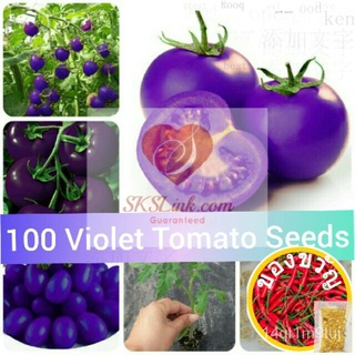 100pcs/pack Purple sacred fruit tomato seeds vegetables and seed farm plantsกุหลาบ/แอปเปิ้ล/มะละกอ/เมล็ดพืช/เด็ก/มักกะโร