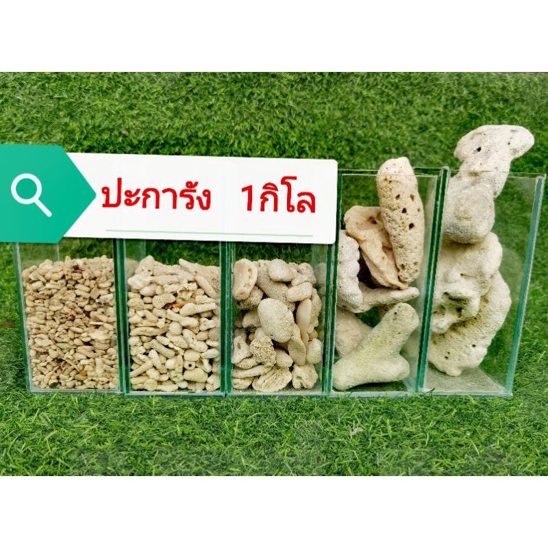 หิน-ปะการัง-1กิโลกรัม-ต้องการถุงตาข่ายกดเพิ่มในตัวเลือกนะคะ