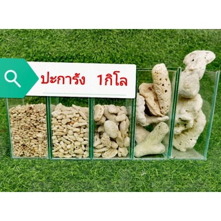 ภาพหน้าปกสินค้าหิน​ ปะการัง 1กิโลกรัม 🐳ต้องการถุงตาข่ายกดเพิ่มในตัวเลือกนะคะ🐚🐚🐌🐌 ที่เกี่ยวข้อง