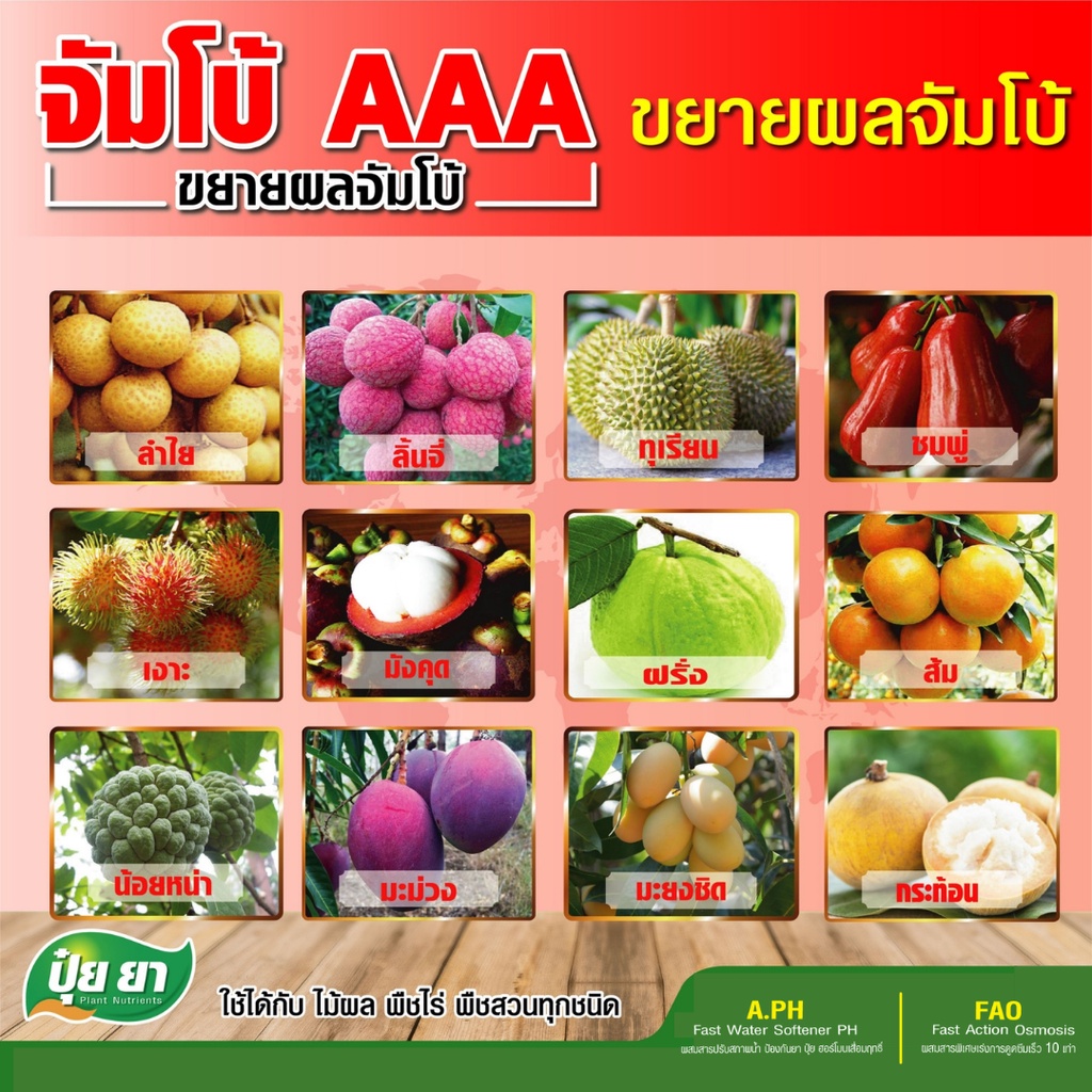 จัมโบ้-aaa-ปุ๋ยยา-ขยายผลเร่งด่วน-ก่อนเก็บ-15-30-วัน-เพิ่มหวาน-เพิ่มรสชาติ-เร่งด่วน-ขนาด-1-ลิตร