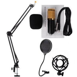 igootech Sound Studio Dynamic Mic + Shock Mount Condenser Microphone