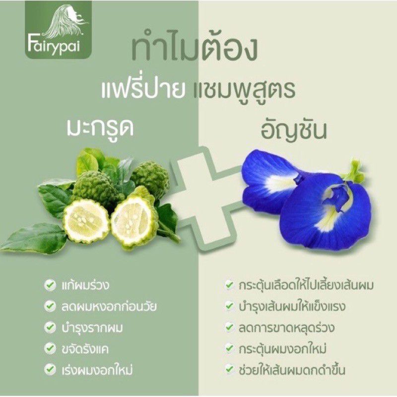 แชมพู-แฟรี่ปาย-fairy-pa