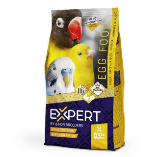 expert eggs food next generation