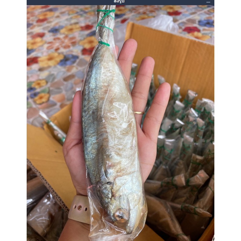 รูปภาพสินค้าแรกของปลาทูหอม ปลาทูมัน แบ่งขายเป็นตัวๆ เค็มกำลังดี เนื้อแน่นกำลังดี เกรด A