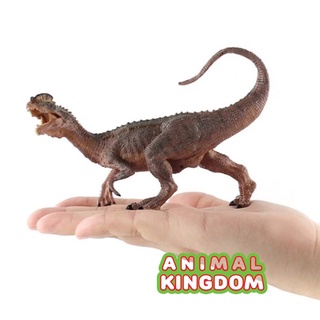 Animal Kingdom - โมเดลไดโนเสาร์ Dilophosaurus น้ำตาล ขนาด 14.00 CM (จากหาดใหญ่)
