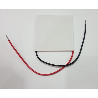 Thermoelectric/Peltier Module (19911-5M31-28CZ)