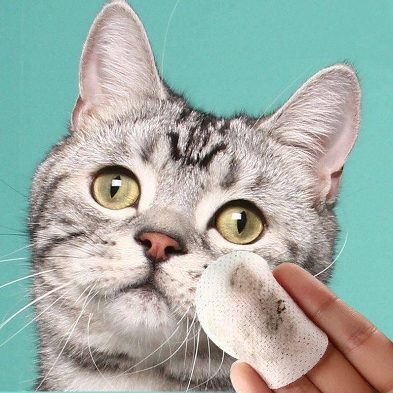 ภาพหน้าปกสินค้าแผ่นเช็ดทำความสะอาดตาและหู แผ่นเปียกเช็ดหู แผ่นเปียกเช็ดตา สุนัขและแมว Eye Wipes Ear จากร้าน suchada_rung บน Shopee