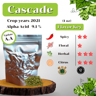 Cascade Hops (1oz) Crop years 2021 (บรรจุด้วยระบบสูญญากาศ)