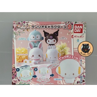 [แบบแยก]Gachapon Capchara Sanrio Characters vol.9