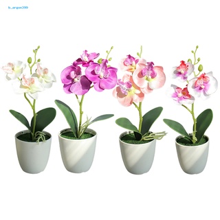 [NE] Simulation Bonsai Desktop Faux Silk Butterfly Orchid Flower Bonsai Fresh-keeping