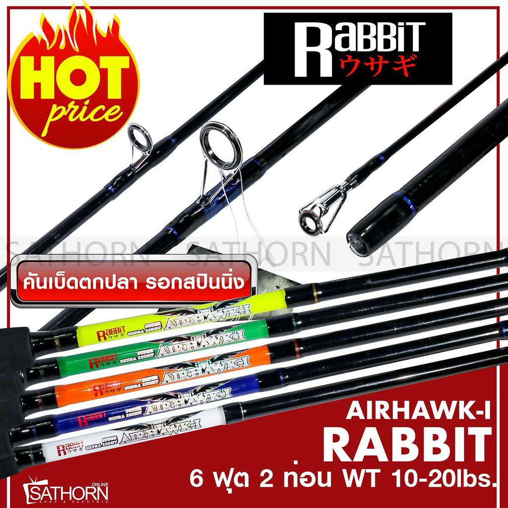Rabbit 2024 air 2