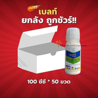 เบลท์® เอ็กซ์เพิร์ท-ยกลัง(100 ซีซี * 50 ขวด)=ชิ้นละ 595 บาท