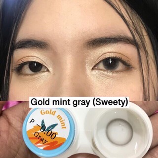 Gold Mint Gray มินิ สีเทา ลายน่ารัก ใส่แล้วเนียนๆ ไปกับตา Sweety+  Contact Lens Bigeyes คอนแทคเลนส์ ค่าสายตา สายตาสั้น แ