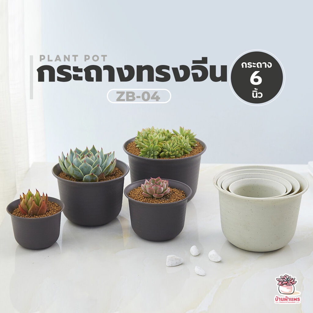 zb-04-กระถางทรงจีน-6-นิ้ว-กระถางแคคตัส-กระถางกระบองเพชร-กระถางไม้อวบน้ำ