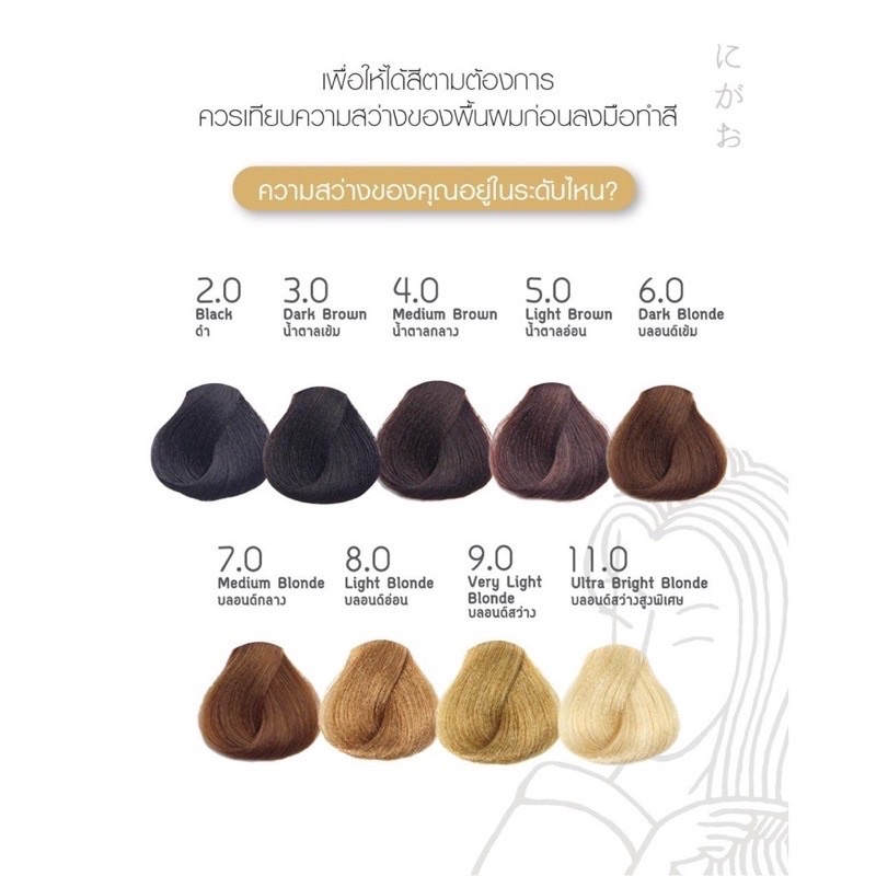 นิกาโอะ-ครีมเปลี่ยนสีผม-โทรสีธรรมชาติ-พร้อมส่ง