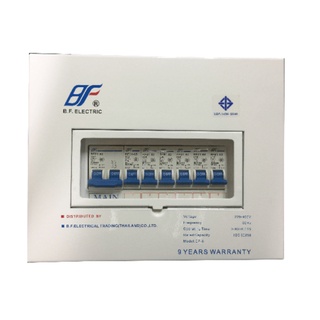 BFI ตู้คอนซูเมอร์(สำเร็จรูป) 2 สาย 6 ช่อง 32A