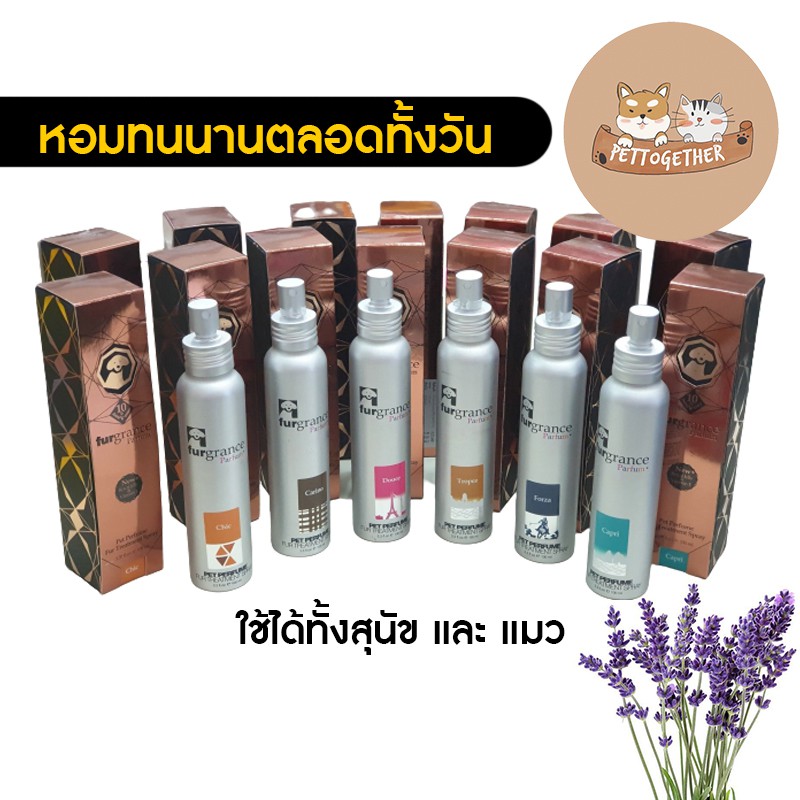 ภาพหน้าปกสินค้าน้ำหอมบำรุงขนสุนัข/แมว Furgrance Parfum สเปรย์ 100ml. หอมติดทนนาน จากร้าน pettogether บน Shopee