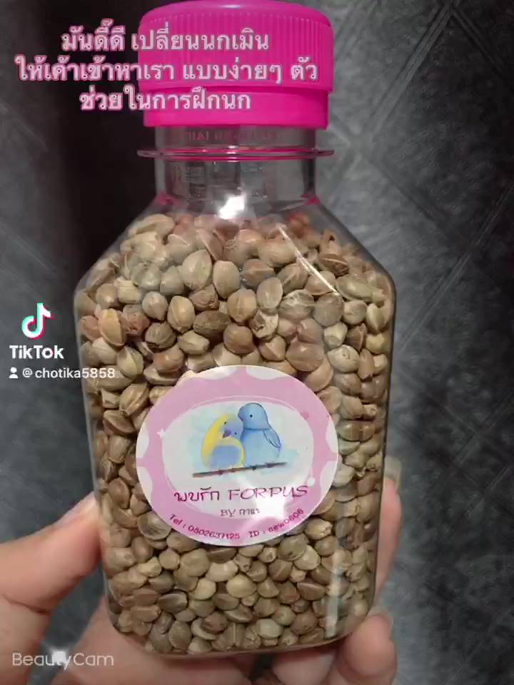 ฮ้วยมั้วหรือเม็ดกันชงไว้สำหรับฝึกนกเชื่อง-รบกวนสั่งสินค้าให้ครบ60-บาทนะคร่า