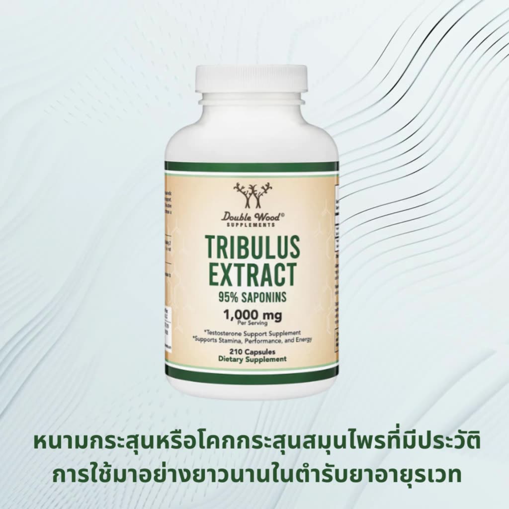 tribulus-terrestris-by-doublewood-ช่วยกระตุ้นการผลิต-l-h-เพิ่มระดับฮอร์โมนเทสโทสเตอโรน