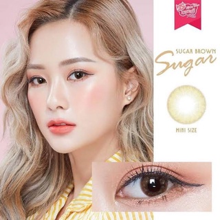 ✨ Mini Sugar brown (Kitty Kawaii) ขนาดมินิ mini ☀️กรองแสง uv ✔️เลนส์แท้จดทะเบียนถูกต้อง (บิ๊กอาย คอนแทคเลนส์ Bigeye