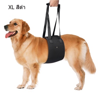 สินค้า บอร์ XL 1ชิ้น อุปกรณ์พยุงตัวสุนัข#แผ่นพยุงสุนัข#อุปกรณ์กายภาพสุนัข#อุปกรณ์ประคองตัวสุนัข#แผ่นกายภาพบำบัดสุนัข Black
