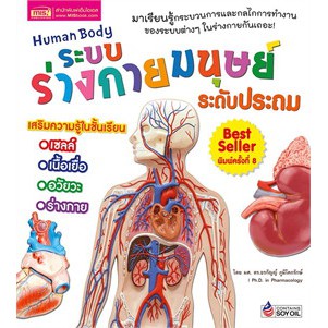 ระบบร่างกายมนุษย์-ระดับประถม-human-body