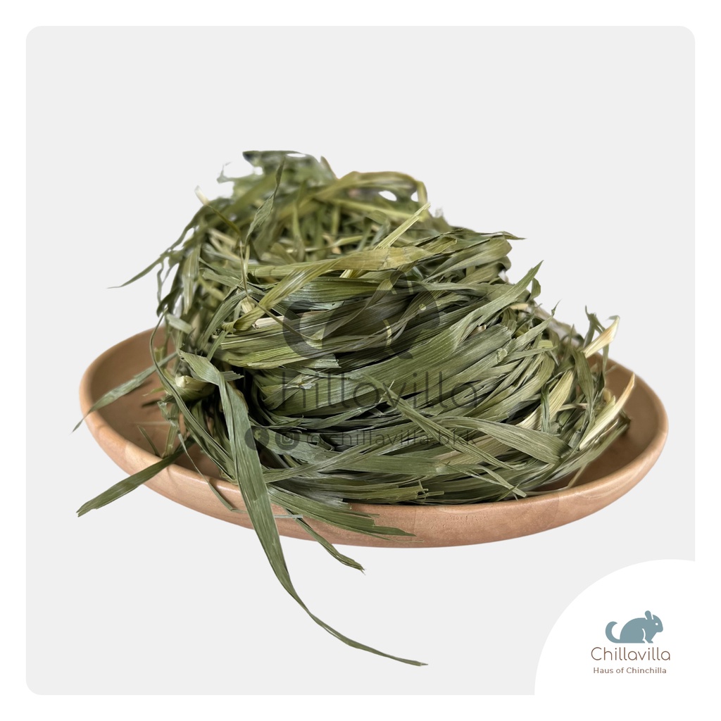 chillavilla-หญ้าทิมโมธี-อบกรอบ-selected-crispy-timothy-hay