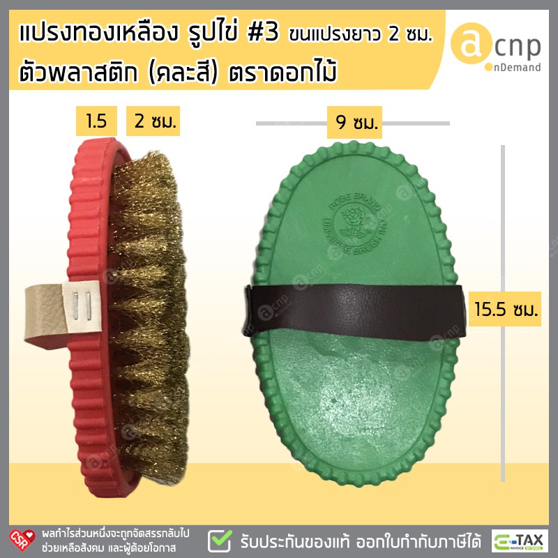 แปรงทองเหลือง-รูปไข่-3-ตัวพลาสติก-คละสี-ลวดทองเหลือง