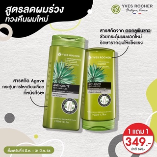 ภาพหน้าปกสินค้า[พร้อมส่ง] 🔥 Yves Rocher BHC Anti Hair Loss Shampoo Conditioner อีฟโรเช่ แอนตี้ แฮร์ ลอส สูตรลดผมร่วง บำรุงรากผม ที่เกี่ยวข้อง