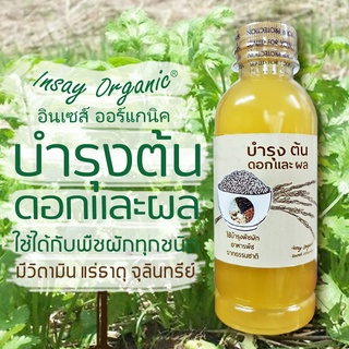 สินค้า บำรุง ต้น ดอก ผลINSAY (250มล.)คุณภาพ แบบสูตรเสมอ มีจุลินทรีย์  วิตามิน แร่ธาตุส่งเสริมการเจริญเติบโตของใบ ดอก ผล