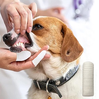 แปรงสีฟันสุนัข แปรงสีฟันแมว แปรงสีฟันแบบนิ่ม สวมนิ้ว ทำจากซิลิโคน ช่วยขัดฟัน ลดการเกิดหินปูน