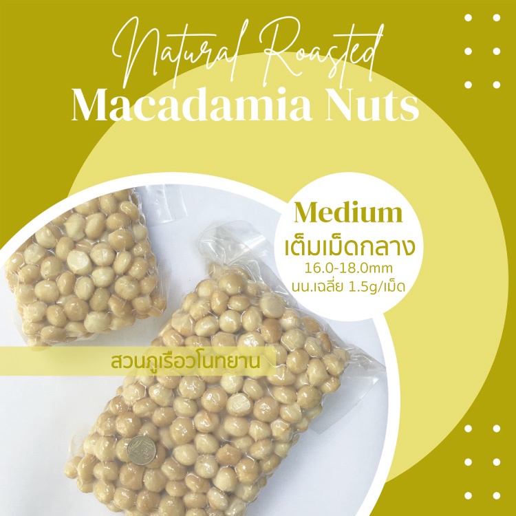 แมคคาเดเมีย-อบพร้อมทาน-เต็มเม็ดกลาง-a1-ยกลัง-5kg-macadamia-nuts