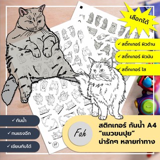 Sticker,สติ๊กเกอร์,แมว,ขนปุย,A4,ไดคัท,Die cut,กันน้ำ,เขียนได้,หลายสี,DIY,สีสวย,น่ารัก,ตกแต่ง,Cat,การ์ตูน,Animal