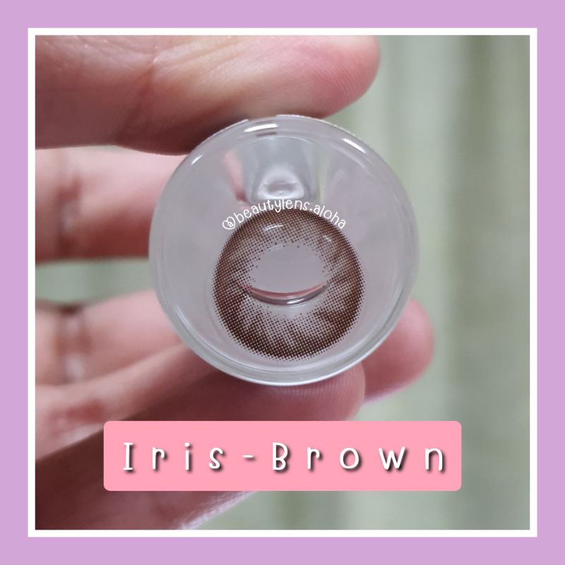 iris-brown-สายตา-00-700-รายเดือน