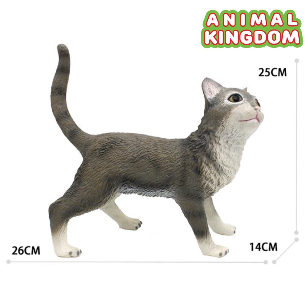 animal-kingdom-โมเดลสัตว์-แมว-เทา-ขนาด-26-50-cm-แบบนิ่ม-จากหาดใหญ่