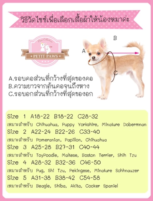 เสื้อสำหรับสัตว์เลี้ยง-รุ่น-the-chihuahua-สินค้าพร้อมส่ง-จำนวนจำกัด-ราคาพิเศษ