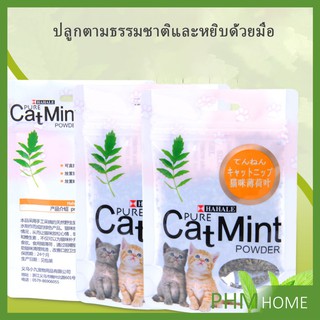 สินค้า ผงแคทนิป & ผงมาทาทาบิ ซองซิบ \"พลาสติก\"  ของแท้ 100% โรยของเล่นแมว 5g (พร้อมส่ง) Catnip
