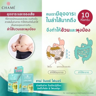 ภาพขนาดย่อของภาพหน้าปกสินค้าChame 1 Day Fiber 6 ซอง (ชาเม่ วันเดย์ ไฟเบอร์) พรีไบโอติก ไฟเบอร์สูง กระตุ้นการขับถ่าย ปรับสมดุลลำไส้ MaydayGadget จากร้าน maydaygadget บน Shopee ภาพที่ 2