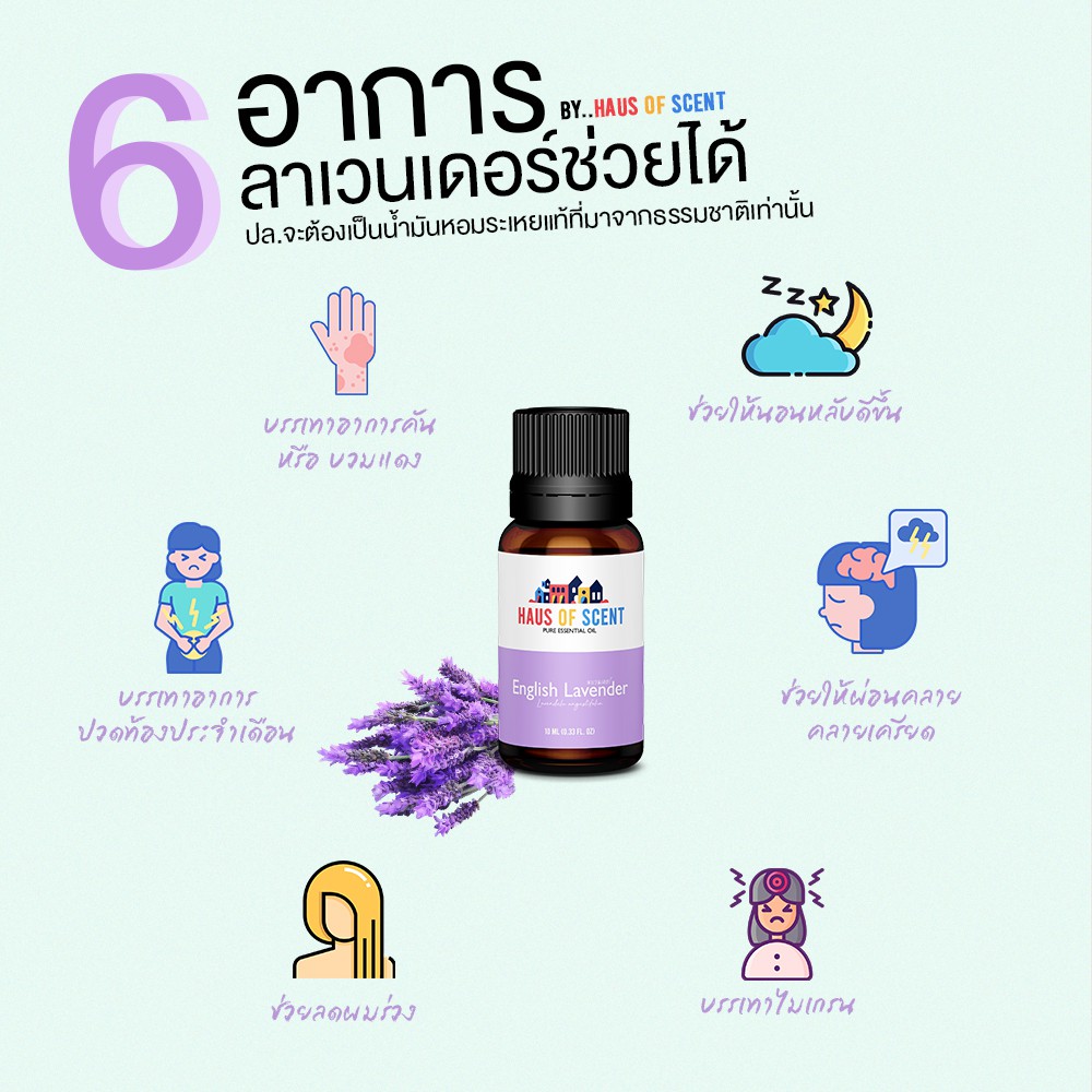 น้ำมันหอมระเหย-ยูคาลิปตัส-eucalyptus-lavender-น้ำหอมใส่เตาพ่น-น้ำหอมใส่เตาอโรม่า-น้ำหอมอโรม่า-haus-of-scent