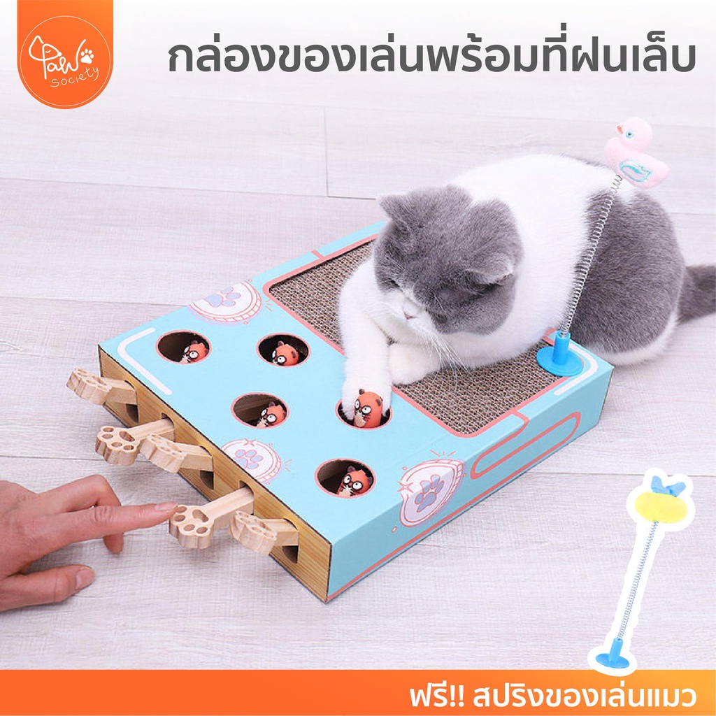 ภาพหน้าปกสินค้าPawSociety กล่องของเล่น พร้อมที่ฝนเล็บแมว ตัวตุ่นแมว ของเล่นแมว ที่ลับเล็บแมว กล่องปริศนา จากร้าน pawsociety บน Shopee