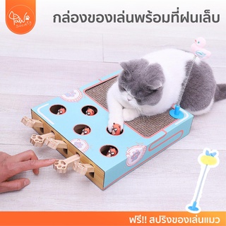 ภาพหน้าปกสินค้า[🔥โค้ดลดเพิ่ม] PawSociety กล่องของเล่น พร้อมที่ฝนเล็บแมว ตัวตุ่นแมว ของเล่นแมว ที่ลับเล็บแมว กล่องปริศนา ที่เกี่ยวข้อง