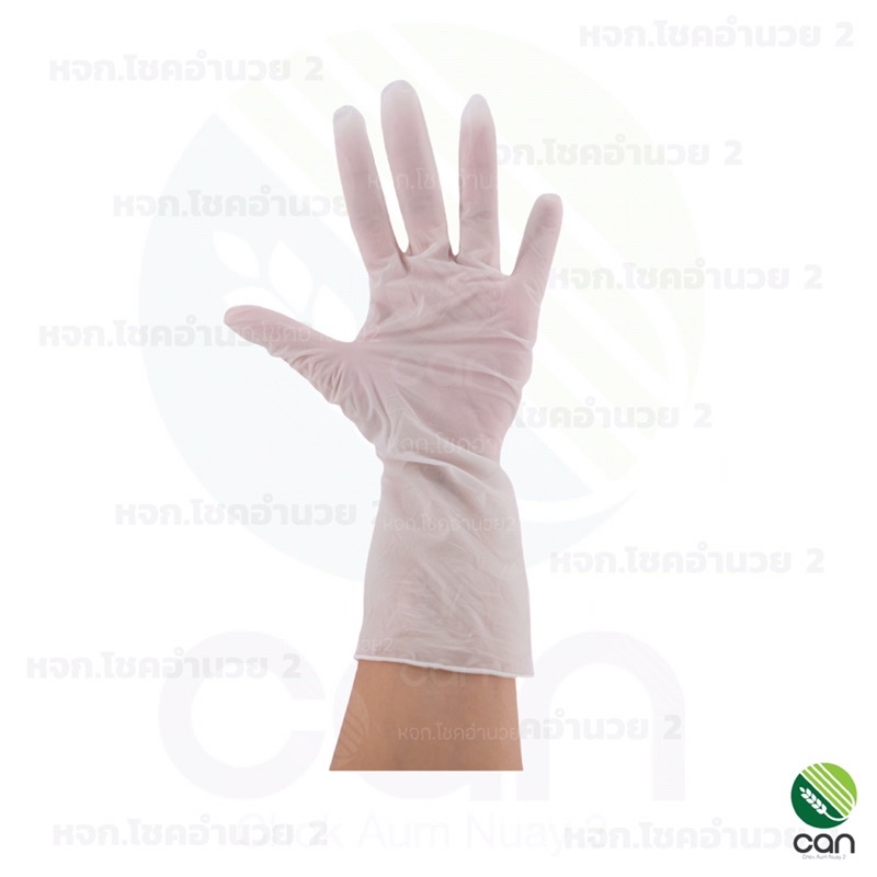 ภาพหน้าปกสินค้า(ยกโหล/12แพค = 36 คู่) ถุงมือยาง แพค 3 คู่ ถุงมือ PVC ถุงมือหมอ ถุงมืออเนกประสงค์ ถุงมือทำความสะอาด ถุงมือยาง ถุงมือ จากร้าน chockaumnuay2 บน Shopee