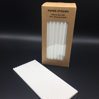 หลอดกระดาษ แพ็ค 250หลอด/กล่อง (Paper drinking straws)